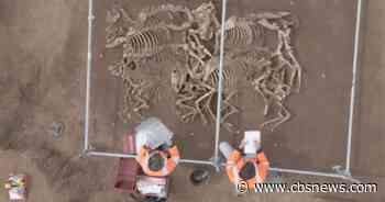 Ancient remains of 28 horses were found buried in France. How did they die?