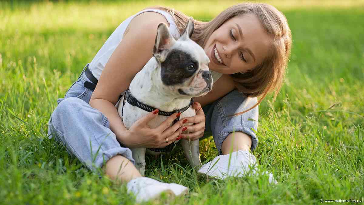 Your DOG can get seasonal allergies too - here's how to tell if your pup is affected and how to help them