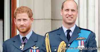 Prince Harry's blunt two-word response to Prince William's plea for reconciliation meeting