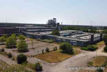 Dan toch groen licht voor miljoeneninvestering in Lommel: glasfabriek krijgt vergunning in beroep