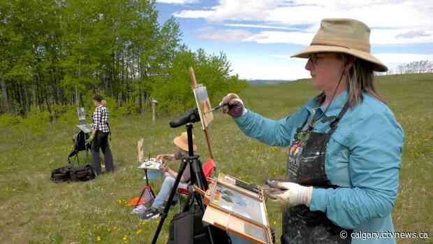 'Getting people comfortable painting outdoors': Federation of Canadian Artists hosts Calgary workshop