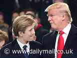 How Trump brought Barron, 18, to meeting with Elon Musk and his son X at Nelson Peltz's sprawling estate to 'offer him White House advisory role'