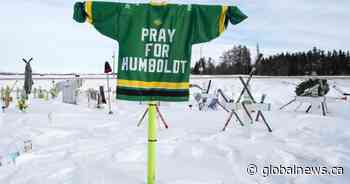 Lawyer for trucker who caused deadly Humboldt Broncos crash says families have no right to sue