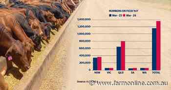Record numbers of cattle on feed and why it will likely be broken again