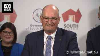 David 'Kochie' Koch to take the helm at SA Tourism Commission