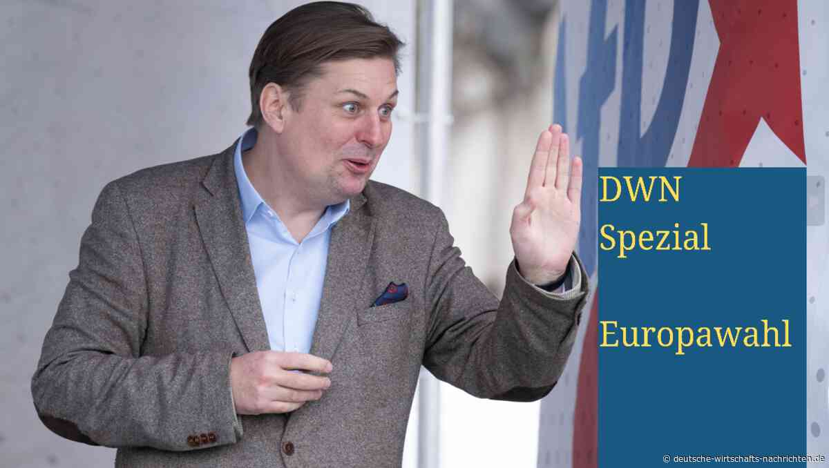 DWN-SERIE zur Europawahl (Teil 3): Das Wahlprogramm der AfD für die EU