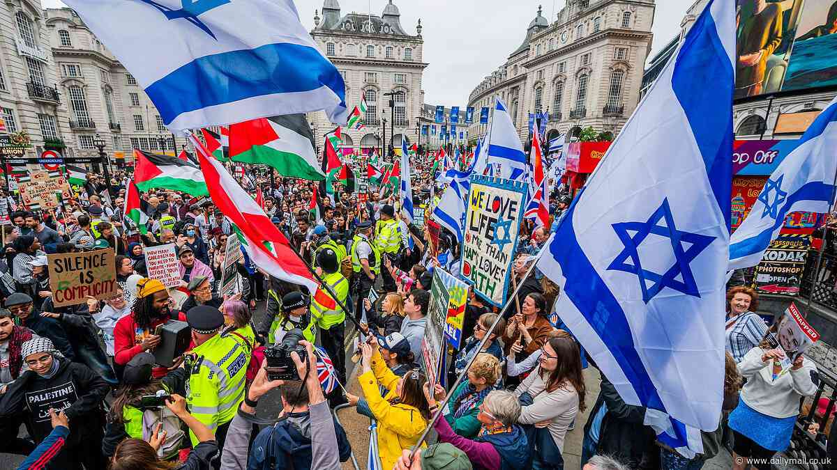 Police appeal for witnesses to a 'sexual assault' on a woman carried out during pro-Palestine march in London