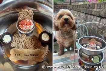The Maltings introduces special afternoon tea for dogs