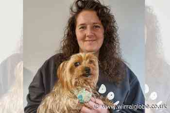 Celandine Wood Animal Rescue raises £42,000 for new premises
