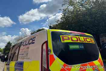 York: teenage girl attacked in Burton Stone Lane area