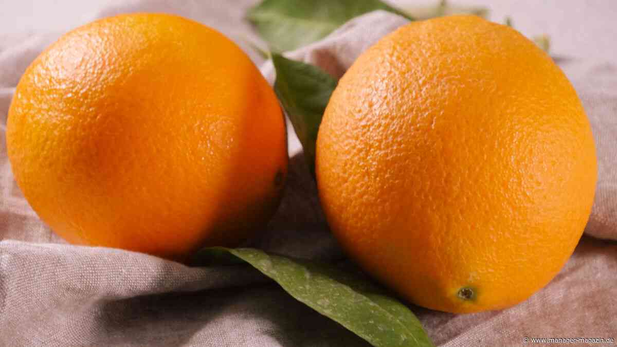 Orangensaft: Preisrallye und Knappheit bei Orangen versetzt Saftanbieter in Aufruhr