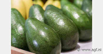 Oost-Europa stimuleert vraag naar Zuid-Afrikaanse avocado's
