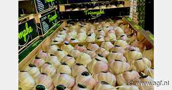 "Spaanse knoflooktelers moeten winst maken om teelt te kunnen behouden"