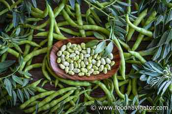 Can fava beans grow in Europe?