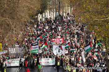 Police probe sexual assault during pro-Palestine protest in central London