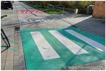 Oostende kleurt alle zebrapaden rond scholen groen