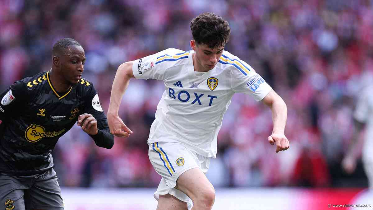 Leeds assure fans their club crest and name will remain unchanged after Red Bull purchase a stake in Championship side four days after heartbreaking  play-off final defeat
