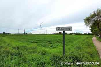 ‘Stop Windmolens Loenhout’ verzamelt zoveel mogelijk bezwaren: “Exploitanten houden uitputtingsslag”