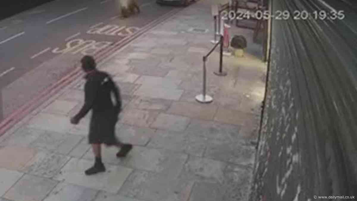 Moment motorbike hitman fires spray of bullets into Dalston restaurant