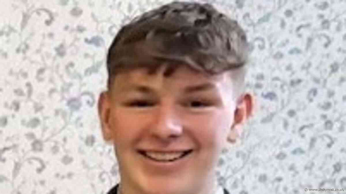 Pupil from £40,000 a year Ellesmere College among two boys and a girl killed after their car hit a tree, with another friend still in hospital