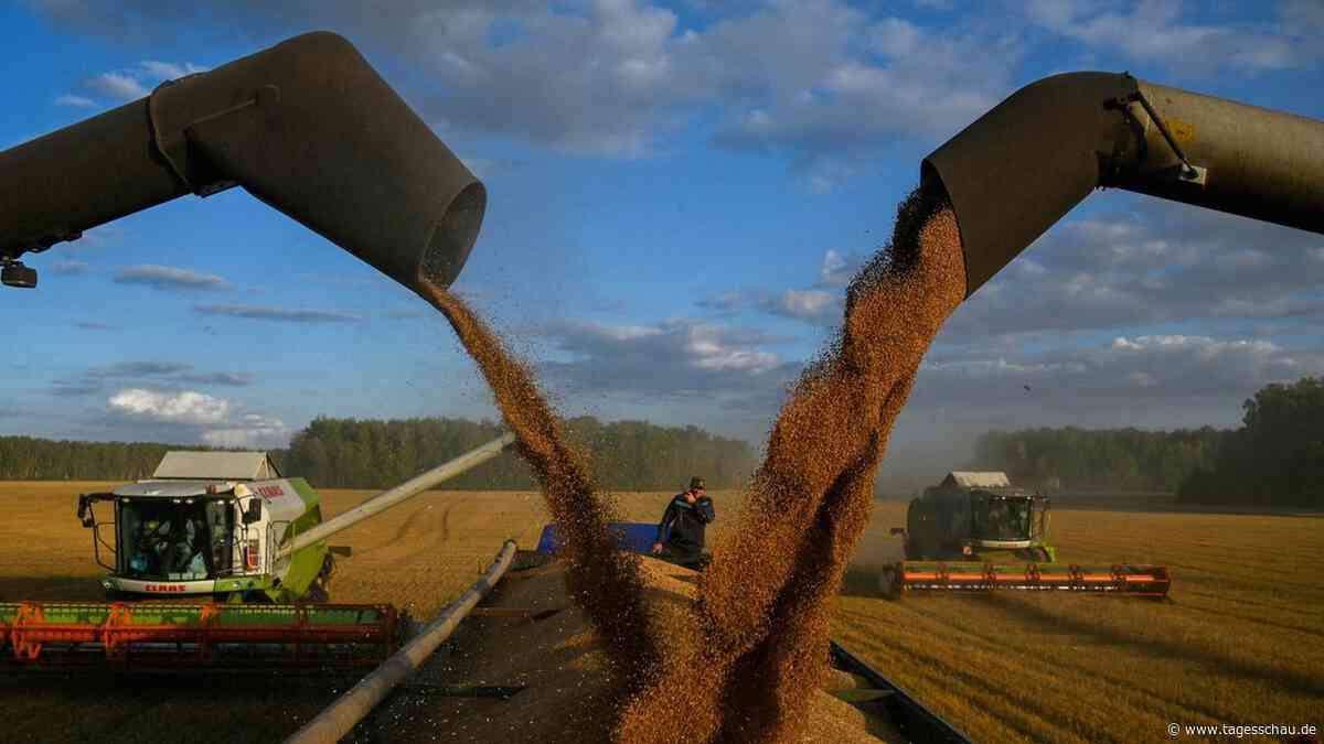 EU erhöht Zölle auf russisches Getreide deutlich