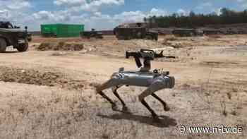 Sturmgewehr auf dem Rücken: China lässt Robo-Kampfhund aufmarschieren