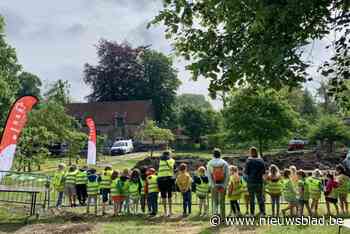 Archeologisch onderzoek aan de gang in Sint-Godelieveabdij: meevolgen kan vanuit ‘pop-uphuis’