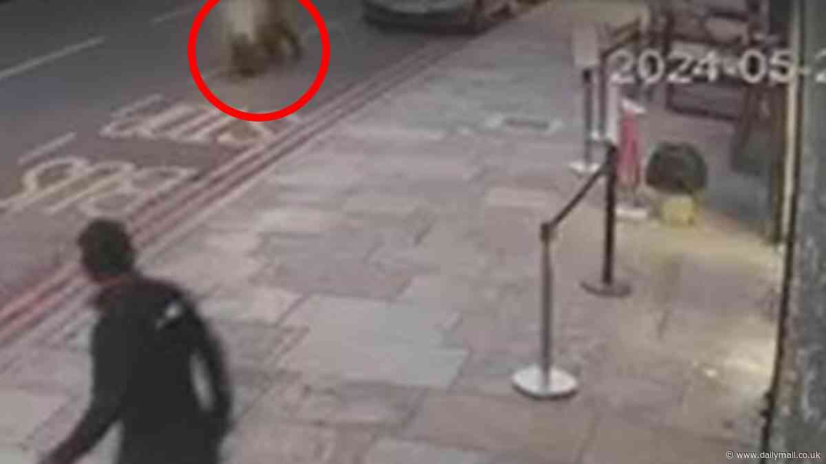 CCTV captures moment hitman on stolen motorbike targets three men outside Dalston restaurant