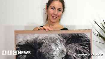 Cornwall woman up for Wildlife Artist of the Year