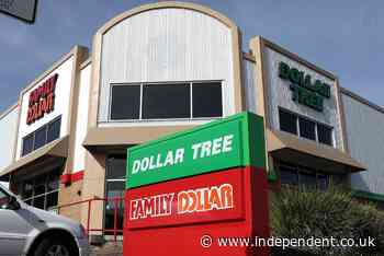 Dollar Tree buys up 99 Cents Only stores as retail giant looks to make up for closures