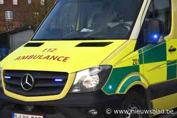 Bocholtenaar (81) zwaargewond bij botsing tussen twee fietsers in Bree