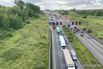 Kennedytunnel richting Nederland afgesloten door defecte wagen met rookontwikkeling