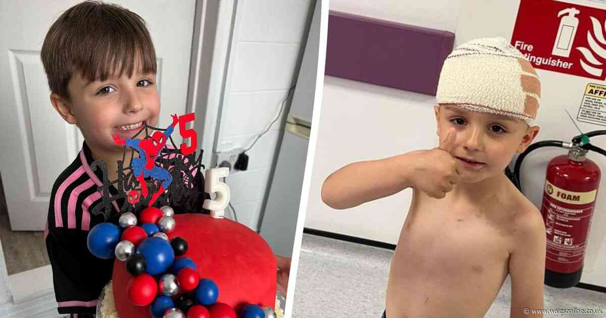 Boy, 5, scalped by XL bully after being invited to 'see neighbour's new dog'