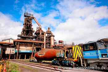 Tata industrial action start date confirmed as Port Talbot steelworkers fight job cuts