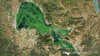 Incredible photos show North America's oldest lake turned bright GREEN - sparking health concerns