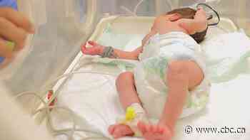 Babies from Rafah being treated in Khan Younis neonatal ICU