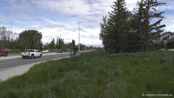 Wet conditions causing slight delays for City of Lethbridge crews to mow boulevards, parks