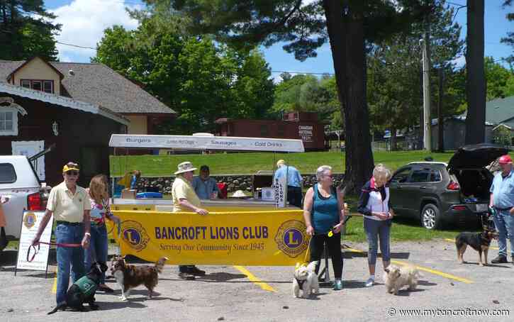 ‘Great day’ in Bancroft raises money for guide dogs 