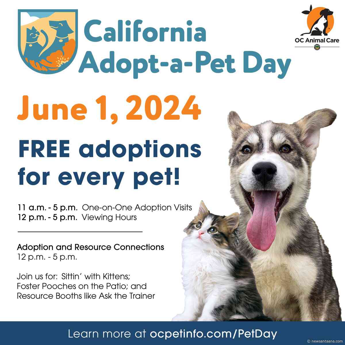 OC Animal Care to offer free pet adoptions on California Adopt-a-Pet Day this Saturday