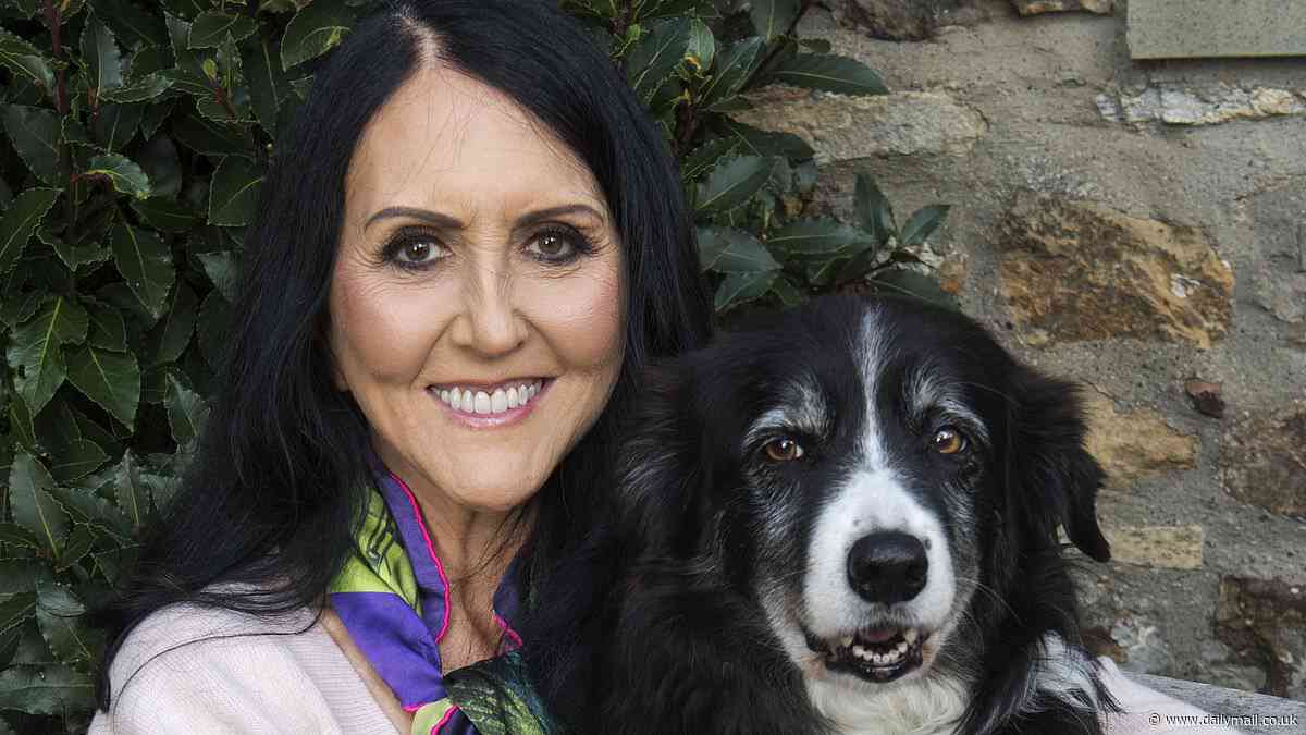 Last year I spent £19,000 on my pets' health, says LIZ JONES. Vets have become a cartel pushing up prices - and bleeding animal lovers like me dry