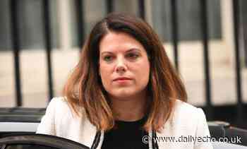 Southampton MP Caroline Nokes 'scared' for general election candidates