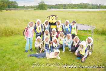 Leerlingen trappen Bijenfietsroute op gang: “Onderweg kan je leuke bijenvragen oplossen”