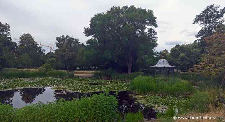 Gewässersanierung im Prinz-Emil-Garten