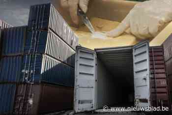 Uithalers in Trojaanse container en medewerkster havenbedrijf opgepakt: bijna twee ton cocaïne in beslag genomen