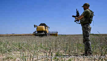 EU-Zölle auf russisches Getreide: Starkes Signal im Ukraine-Krieg