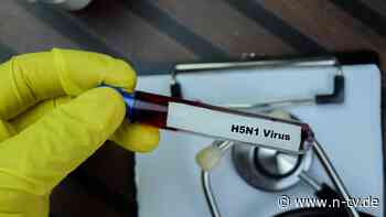 Bei kranken Kühen angesteckt?: US-Behörde bestätigt dritte H5N1-Infektion bei Menschen