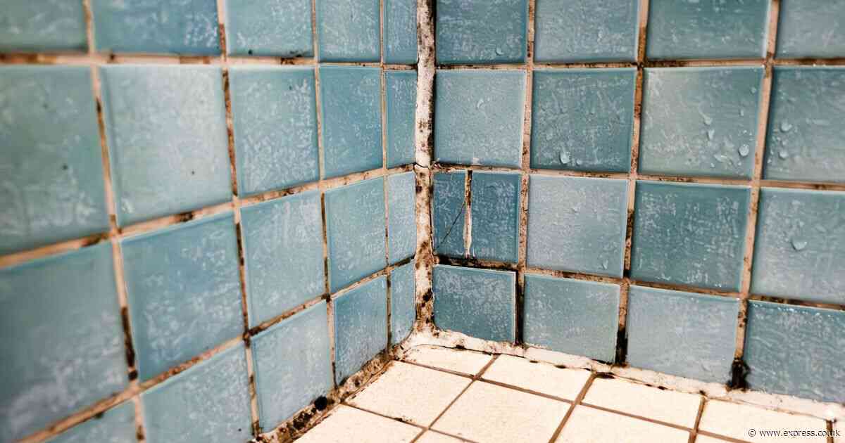 Whiten stained grout in 2 minutes with 44p ‘miracle’ item - avoid bleach and white vinegar