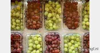 Hogere prijzen Egyptische druiven door grote Europese vraag