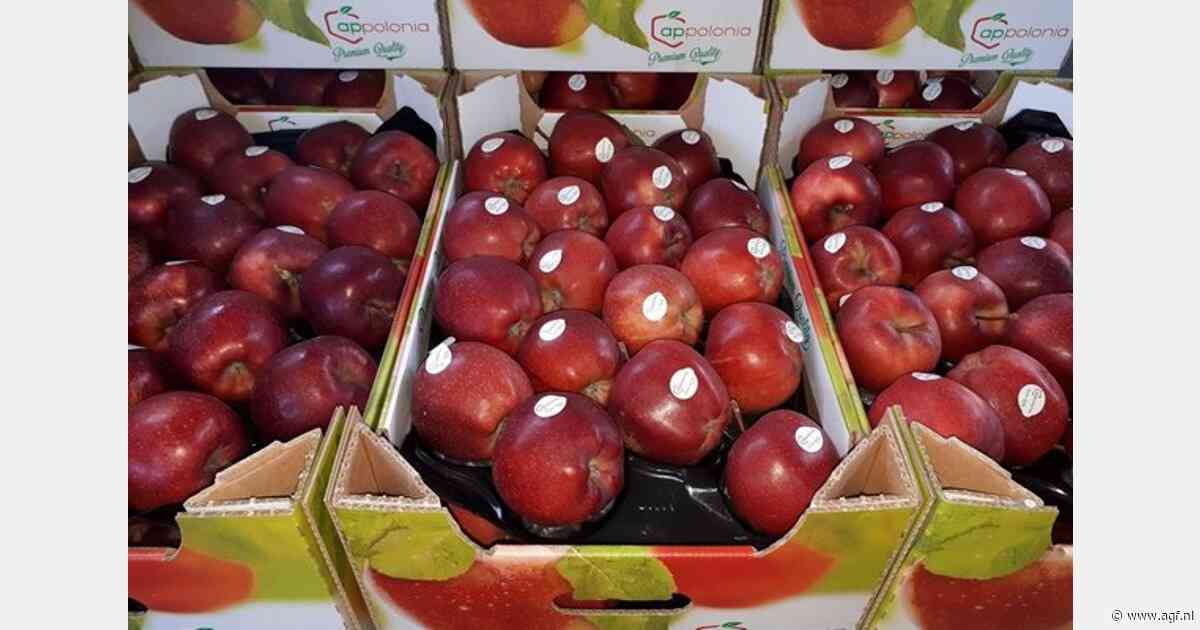 Poolse Gala-appelen zijn vrijwel op
