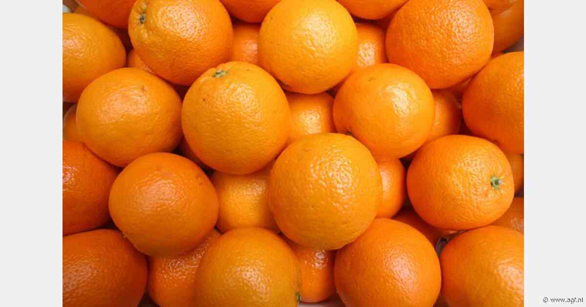 Sapmakers willen mango of mandarijn bijmengen om sinaasappelsap betaalbaar te houden